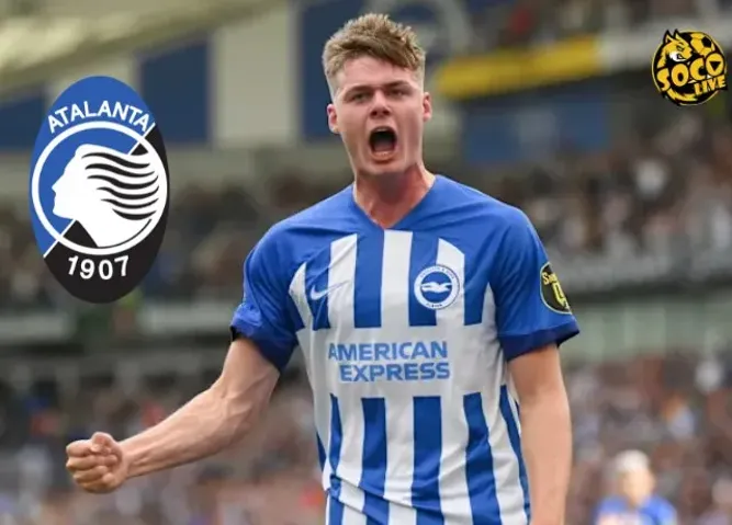 Atalanta muốn chốt thương vụ Ferguson từ Brighton